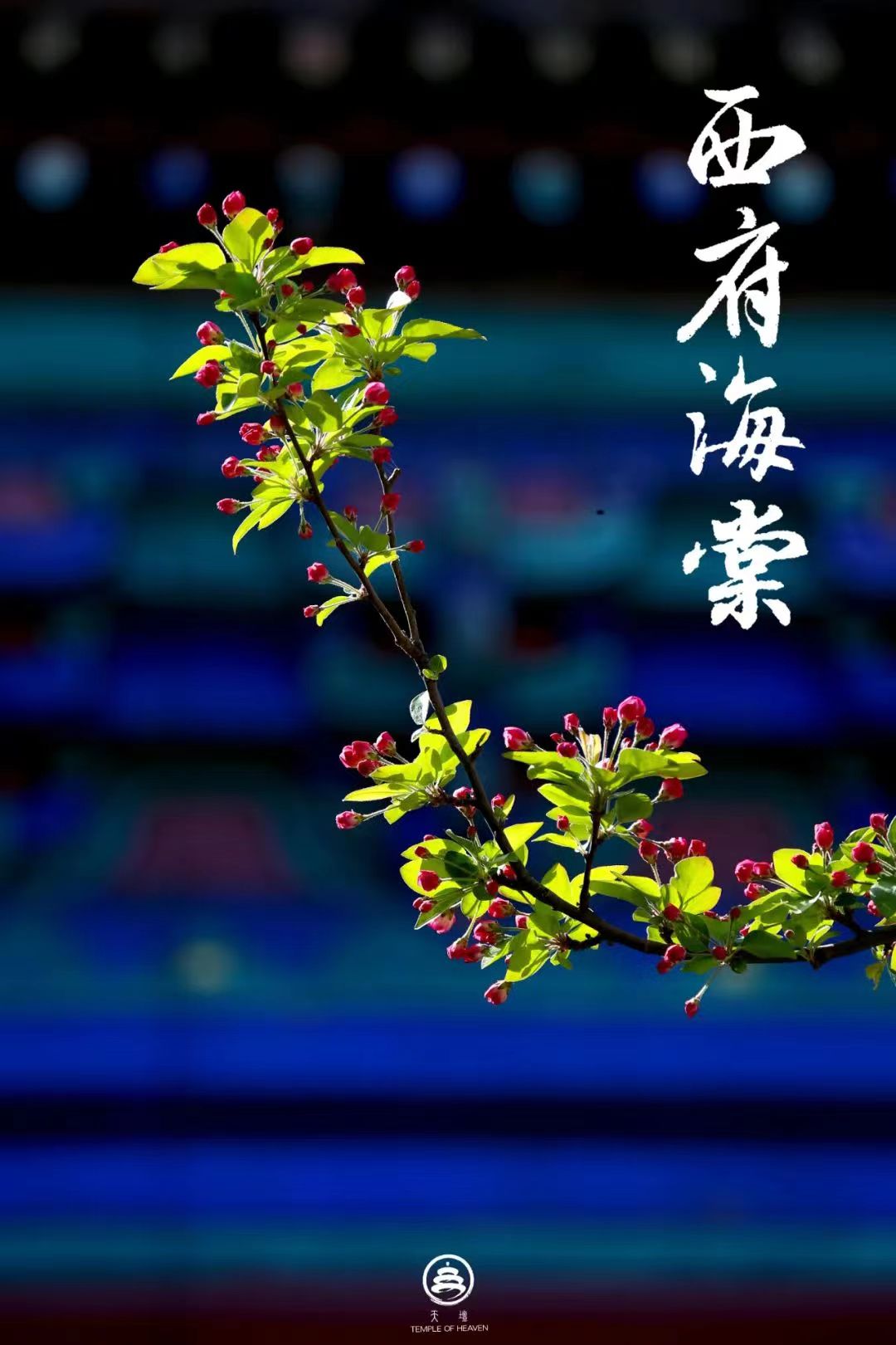 微信图片_202404191525071.jpg