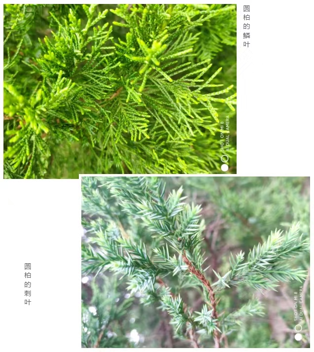 微信图片_20250304134916.jpg